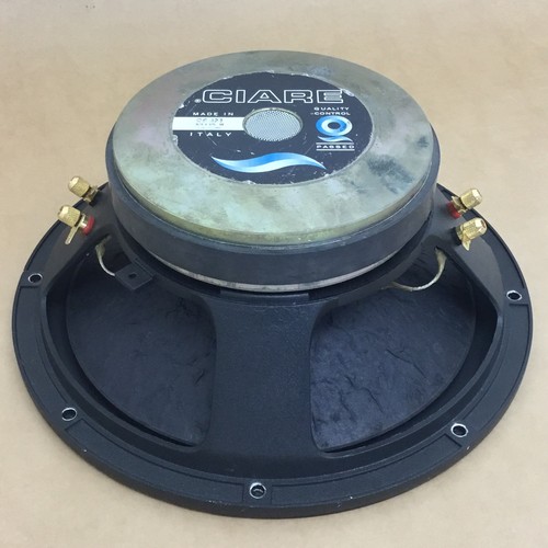 Altoparlante doppia bobina 300 - altoparlante,